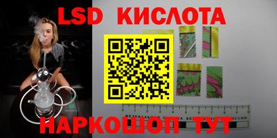стафф Кандалакша