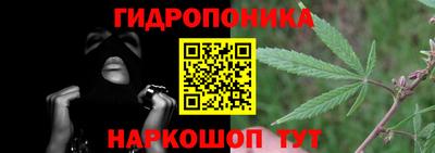 стафф Кандалакша
