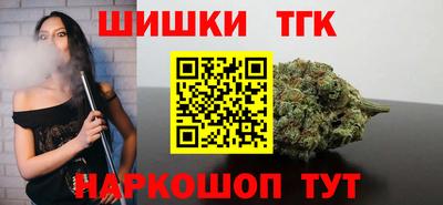 тгк Камышлов