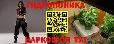 тгк Камышлов